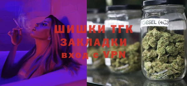 гидра Алексин