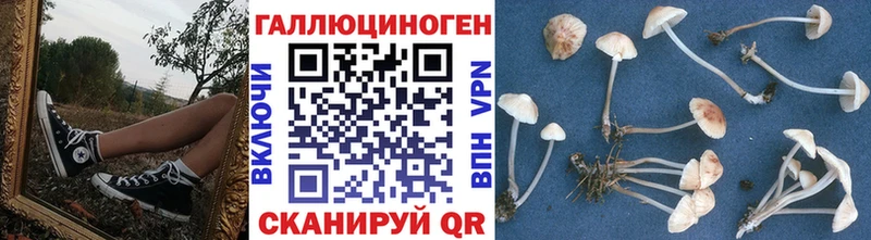 Псилоцибиновые грибы мицелий  blacksprut сайт  Иланский 